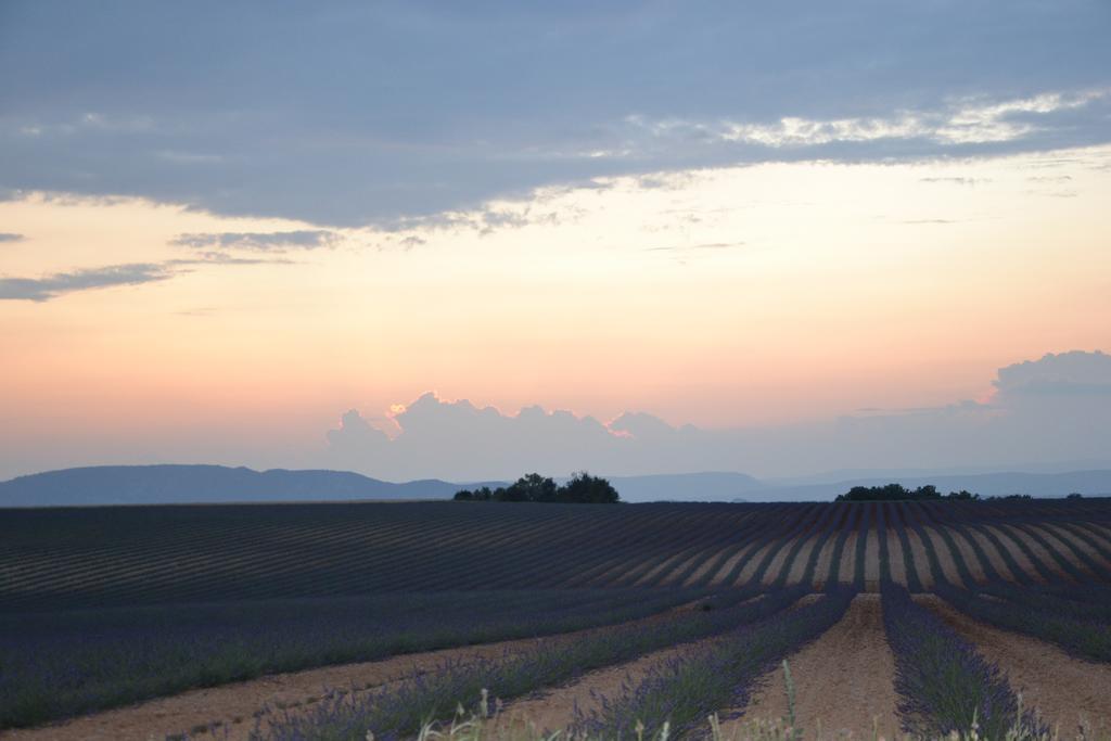 Les Terrasses De Valensole Bed & Breakfast Luaran gambar
